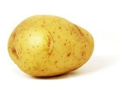 Immagine profilo di patatabici